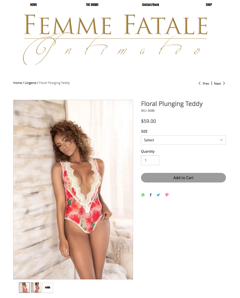 Denver lingerie brands for boudoir shoots